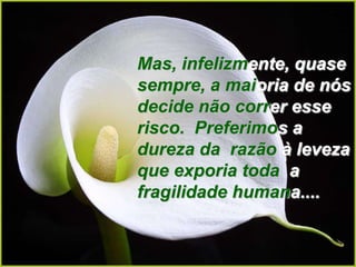 Mas, infelizmente, quase
sempre, a maioria de nós
decide não correr esse
risco. Preferimos a
dureza da razão à leveza
que exporia toda a
fragilidade humana....
 