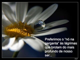 Preferimos o “nó na
garganta” às lágrimas
que brotam do mais
profundo de nosso
ser...
 