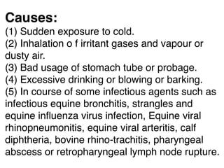 Causes:
(1) Sudden exposure to cold.
(2) Inhalation o f irritant gases and vapour or
dusty air.
(3) Bad usage of stomach tube or probage.
(4) Excessive drinking or blowing or barking.
(5) In course of some infectious agents such as
infectious equine bronchitis, strangles and
equine inﬂuenza virus infection, Equine viral
rhinopneumonitis, equine viral arteritis, calf
diphtheria, bovine rhino-trachitis, pharyngeal
abscess or retropharyngeal lymph node rupture.
 