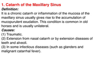 1. Catarrh of the Maxillary Sinus
Deﬁnition:
It is a chronic catarrh or inﬂammation of the mucosa of the
maxillary sinus usually gives rise to the accumulation of
mucopurulent exudation. This condition is common in old
horses and is usually unilateral.
Causes:
(1) Traumatic.
(2) Extension from nasal catarrh or by extension diseases of
teeth and alveoli.
(3) In some infectious diseases (such as glanders and
malignant catarrhal fever).
 