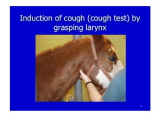 3 diseases o f the sinus 