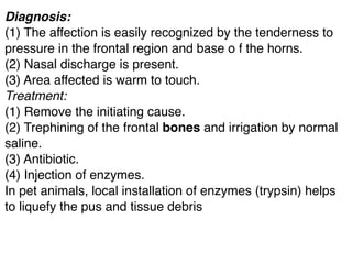 Diagnosis:
(1) The affection is easily recognized by the tenderness to
pressure in the frontal region and base o f the horns.
(2) Nasal discharge is present.
(3) Area affected is warm to touch.
Treatment:
(1) Remove the initiating cause.
(2) Trephining of the frontal bones and irrigation by normal
saline.
(3) Antibiotic.
(4) Injection of enzymes.
In pet animals, local installation of enzymes (trypsin) helps
to liquefy the pus and tissue debris
 