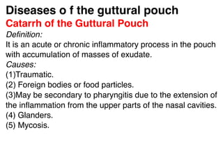Diseases o f the guttural pouch
Catarrh of the Guttural Pouch
Deﬁnition:
It is an acute or chronic inﬂammatory process in the pouch
with accumulation of masses of exudate.
Causes:
(1)Traumatic.
(2) Foreign bodies or food particles.
(3)May be secondary to pharyngitis due to the extension of
the inﬂammation from the upper parts of the nasal cavities.
(4) Glanders.
(5) Mycosis.
 