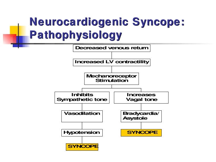 3 Dizziness And Syncope. Karen Hauer, Md