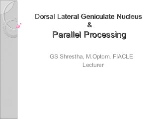 Dorsal Lateral Geniculate Nucleus
                &
     Parallel Processing

    GS Shrestha, M.Optom, FIACLE
               Lecturer
 