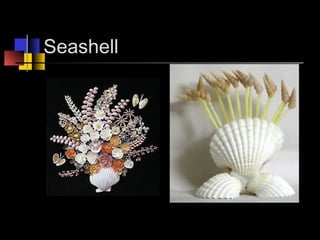 Seashell
 