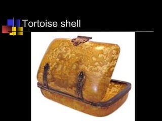 Seashell
 
