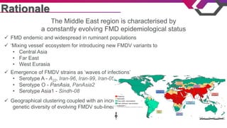 Rationale
ü  FMD endemic and widespread in ruminant populations
ü  ‘Mixing vessel’ ecosystem for introducing new FMDV vari...