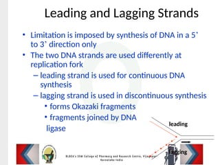 Leading and Lagging Strands
• Limitation is imposed by synthesis of DNA in a 5’
to 3’ direction only
• The two DNA strands are used differently at
replication fork
– leading strand is used for continuous DNA
synthesis
– lagging strand is used in discontinuous synthesis
• forms Okazaki fragments
• fragments joined by DNA
ligase
leading
lagging
 