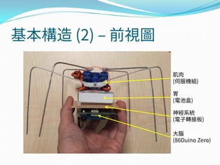 基本構造 (2) – 前視圖
肌肉
(伺服機組)
胃
(電池盒)
神經系統
(電子轉接板)
大腦
(86Duino Zero)
 