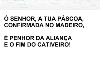 Ó SENHOR, A TUA PÁSCOA,
CONFIRMADA NO MADEIRO,
É PENHOR DA ALIANÇA
E O FIM DO CATIVEIRO!
 