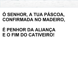 Ó SENHOR, A TUA PÁSCOA,
CONFIRMADA NO MADEIRO,
É PENHOR DA ALIANÇA
E O FIM DO CATIVEIRO!
 