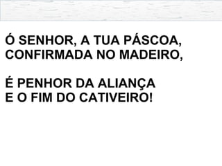 Ó SENHOR, A TUA PÁSCOA,
CONFIRMADA NO MADEIRO,
É PENHOR DA ALIANÇA
E O FIM DO CATIVEIRO!
 