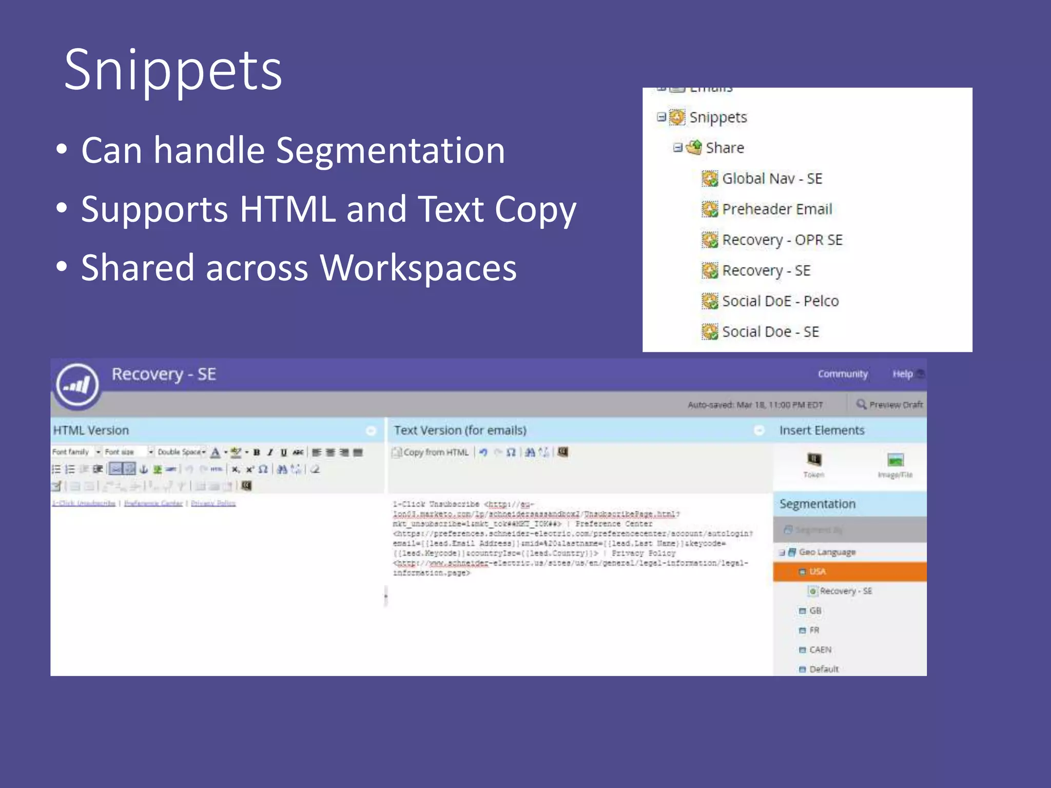 Snippets
• Can handle Segmentation
• Supports HTML and Text Copy
• Shared across Workspaces
 
