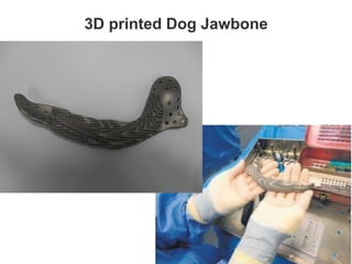 3D printed Dog Jawbone
 