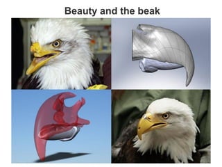 Beauty and the beak
 
