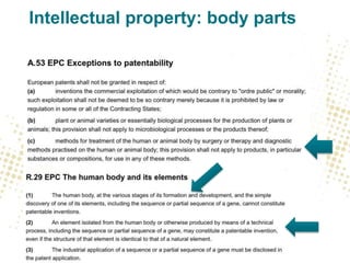 Intellectual property: body parts
 