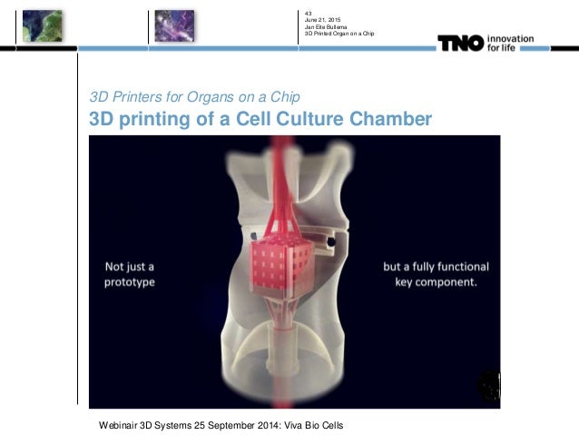 2016 3d Printing For Organ On A Chip