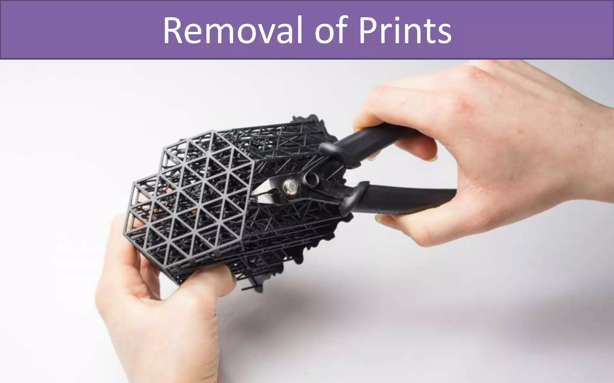 Removal of Prints
 
