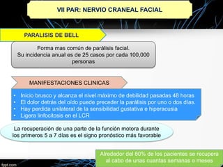 VII PAR: NERVIO CRANEAL FACIAL
Forma mas común de parálisis facial.
Su incidencia anual es de 25 casos por cada 100,000
personas
MANIFESTACIONES CLINICAS
• Inicio brusco y alcanza el nivel máximo de debilidad pasadas 48 horas
• El dolor detrás del oído puede preceder la parálisis por uno o dos días.
• Hay perdida unilateral de la sensibilidad gustativa e hiperacusia
• Ligera linfocitosis en el LCR
La recuperación de una parte de la función motora durante
los primeros 5 a 7 días es el signo pronóstico más favorable
Alrededor del 80% de los pacientes se recupera
al cabo de unas cuantas semanas o meses
 