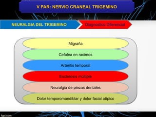 V PAR: NERVIO CRANEAL TRIGEMINO
Diagnostico Diferencial
Migraña
Cefalea en racimos
Arteritis temporal
Esclerosis múltiple
Neuralgia de piezas dentales
Dolor temporomandiblar y dolor facial atípico
 