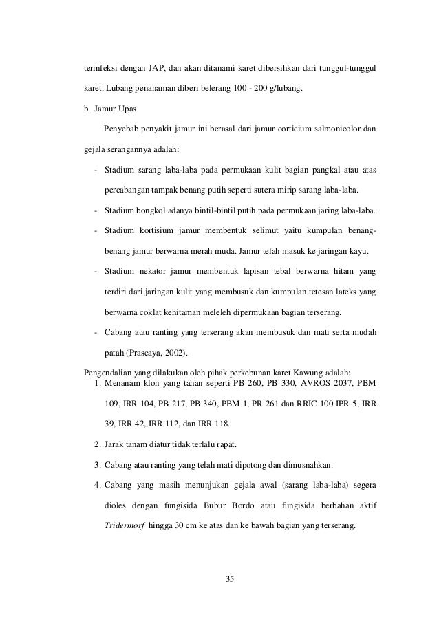 yaitu management letter draft 3 proposal