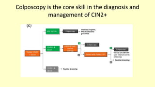 Colposcopy is the core skill in the diagnosis and
management of CIN2+
 
