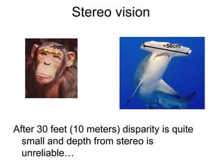 3High-quality 3D scenes for AR and VR lab | PPT
