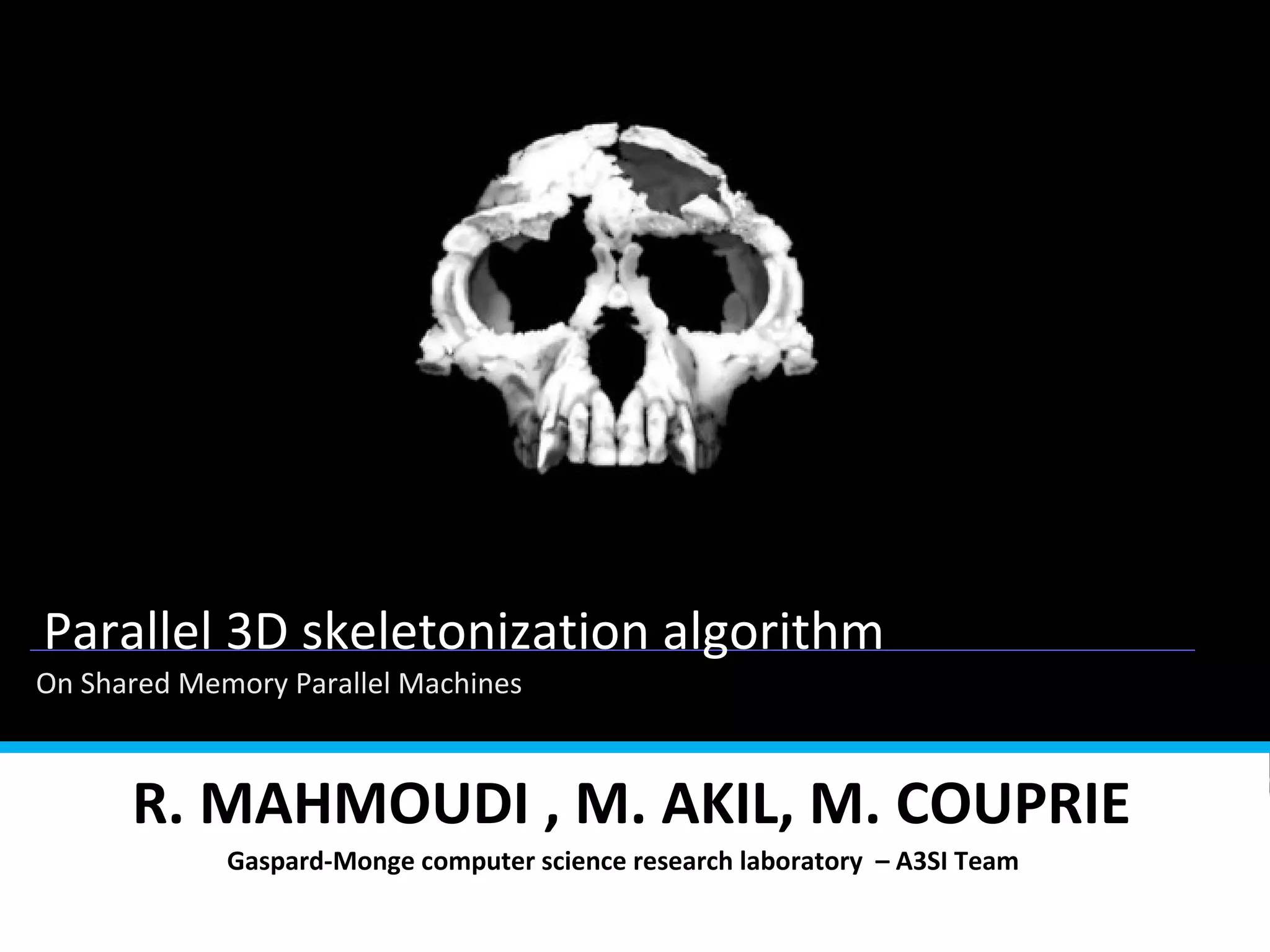 3D skeltonization | PPT