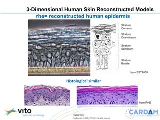 Overview of 3D-human skin reconstructed models for irritation and ...