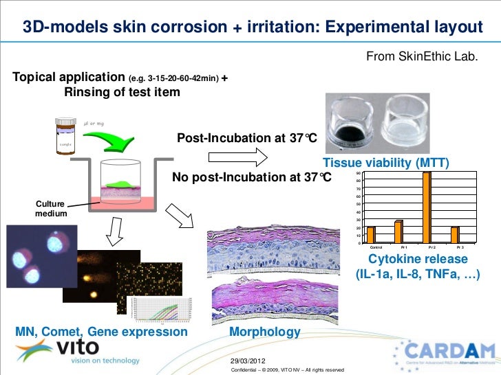 Skin Test Model T-Skin Reconstructed Human Full Thickness Skin Model – KGVQD