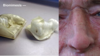 Biomimesis —