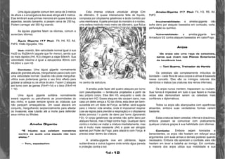 1d+12 
Uma águia gigante comum tem cerca de 3 metros 
de altura e a envergadura das asas atinge até 6 metros. 
Elas lembram suas primas menores em quase todos os 
aspectos, exceto tamanho, e pesam cerca de 250 kg. 
Podem carregar até 350 Kg voando. 
As águias gigantes falam os idiomas, comum e 
auran(seu idioma). 
Águia Gigante (17 Pts): F4, H4, R3, A4, 
PdF0, Visão Aguçada, Vôo. 
Voô: voando, têm velocidade normal igual à sua 
Hx20 ou Rx20km/h (aquele que for menor), sendo que 
os mais rápidos (H4, R3) chegam a viajar 60km/h. Sua 
velocidade máxima é igual a estupendos 80m/s com 
H4,60m/ s com H3. 
Combate: Uma águia gigante normalmente 
ataca de grandes alturas, mergulhando para o solo com 
uma velocidade incrível. Quando não pode mergulhar, 
utiliza suas poderosas garras e seu bico afiado para 
golpear a cabeça ou os olhos do alvo. Fazem 2 ataques 
por turno com as garras (FA=F+1d) e o bico (FA=F+H 
+ 1d). 
Uma águia gigante solitária normalmente 
estará caçando ou patrulhando as proximidades do 
seu ninho, e quase sempre ignora as criaturas que 
não pareçam ameaçadoras. Um casal atacará em 
conjunto, mergulhando seqüencialmente para afastar 
os invasores; elas lutarão até a morte para defender 
seus ninhos ou filhotes. 
Ameba Gigante 
“É injusto que existam monstros 
contra os quais uma espada não tem 
efeito.” 
— Tom, espadachim 
Esta imensa criatura unicelular atinge lOm 
de diâmetro. E quase inteiramente feita de líquido, 
composta por citoplasma gelatinoso e ácido contido por 
uma membrana. A parte principal do monstro é o núcleo, 
uma esfera medindo meio metro de diâmetro, que flutua 
no centro da estrutura. 
A ameba pode fazer até quatro ataques por turno 
com pseudópodes — tentáculos projetados a partir de 
seu próprio corpo. Eles têm H3, enquanto o resto da 
criatura tem HO. Esses ataques não causam dano, mas 
caso um deles vença a FD da vítima, esta deve ser bem-sucedida 
em um teste de Força; se falhar, será sugada 
para o interior vida ameba, onde é impossível respirar 
(use as regras para prender a respiração) e o citoplasma 
ácido provoca l v ponto de dano por turno (ignorando 
FD). O corpo gelatinoso da ameba não sofre dano por 
ataques físicos, mas é frágil contra fogo. Qualquer dano 
contra o núcleo vai matar a criatura imediatamente, mas 
ele é muito mais resistente (A4) e pode ser atingido 
apenas por Poder de Fogo; para atacá-lo com Força, é 
preciso estar dentro da criatura. 
A ameba-gigante vive em pântanos, lagos 
subterrâneos e outros lugares onde exista água parada 
e proteção contra o sol. 
Ameba-Gigante (17 Pts): F4, H3, R6, A4, 
PdF0 
Invulnerabilidade: a ameba-gigante não 
sofre dano por ataques baseados em contusão, corte, 
perfuração ou químico. 
Vulnerabilidade: a ameba-gigante tem 
Armadura 0/2 contra ataques baseados em calor/Fogo. 
Anjos 
Os anjos são uma raça de celestiais, 
seres que vivem nos Planos Exteriores 
de tendência boa. 
— Toni Guerra, Treinador de Heróis 
Os celestiais são completamente imbuídos de 
bondade – cada fibra de seus corpos e almas é baseada 
nesse conceito. Eles são os inimigos naturais dos 
demônios e diabos (as criaturas dos reinos infernais). 
Os anjos nunca mentem, trapaceiam ou roubam. 
Sua honra é impecável em tudo o que fazem e muitas 
vezes eles demonstram serem os celestiais mais 
confiáveis e diplomáticos. 
Todos os anjos são abençoados com aparências 
atraentes, embora suas verdadeiras formas variem 
bastante. 
Estas criaturas falam celestial, infernal e dracônico, 
embora possam se comunicar com praticamente 
qualquer criatura graças à sua habilidade com idiomas. 
Combate: Embora sejam honrados e 
benevolentes, os anjos não hesitam em reforçar seus 
argumentos com suas armas e demais poderes quando 
necessário. Embora não apreciem o combate, eles não 
hesitam em levar a batalha ao inimigo. Em combate, 
a maioria dos anjos utiliza sua mobilidade e sua 
 