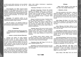 1d+132 
ou ácido quando estão submersos, em seu ambiente 
eles são praticamente invencíveis. F2, H3, R3, A1, 
PdF0. 
Troll Caçador (11 Pts): Algumas dessas 
criaturas são mais sagazes que a maioria e não se 
satisfazem simplesmente alimentando-se de seres 
civilizados. Elas treinam para caçá-los implacavelmente, 
tornando-se rangers temíveis, especializados em matar 
e devorar presas humanóides, F2, H3, R3,A1, PdF0, 
Magia Negra. 
Combate: Os caçadores confiam na sua 
habilidade de faro para rastrear seus inimigos prediletos 
e geralmente preferem caçar no escuro. 
Eles tem acesso a um repertório limitado de 
magias para se proteger dos tipos de energia aos quais 
são vulneráveis e para imobilizar os inimigos. 
Tubarões 
“Vocês são Tubaroes! Nunca dormem, 
nunca descansam e estão SEMPRE com 
fome!” 
— Barak o druida (ultimas Palavras) 
Tubarões não gostam de longas batalhas: 
ele costumam fazer um único e decisivo ataque, 
procurando arrancar um grande pedaço de carne 
com uma única e poderosa mordida (FA=F+H+1d). 
Em geral a vítima morre pouco depois, por perda de 
sangue, perdendo l Ponto de Vida por turno até que 
sejam aplicados primeiros socorros (um teste bem-sucedido 
de Medicina). 
Tubarões são encontrados em mar aberto, sendo 
muito raro que ataquem em áreas costeiras. Nadam o 
dia todo, e nunca dormem. São solitários, mas muitas 
vezes podem ser encontrados em pequenos bandos. 
Embora raramente ultrapassem dois metros, existem 
relatos sobre selakos monstruosos e gigantescos, 
maiores que navios! 
Tubarões (13 Pts): F4, H3, R3, A1, PdF0 
Sentidos Especiais: Tubaroes têm Audição 
Aguçada, Faro Aguçado, Radar e Ver o Invisível. Ao 
fazer testes de Perícias, em situações que envolvem 
perceber coisas com estes sentidos, a dificuldade do 
teste cai uma graduação. Por exemplo, uma Tarefa 
Difícil será considerada Normal, e qualquer Tarefa 
Normal será Fácil. 
Fúria: na presença de sangue, Tubarões entram 
em fúria. Neste estado recebem H + 1, FA final +1 e 
não sentem medo, sendo imunes à magia Pânico e 
similares. No entanto, não podem se esquivar nem 
usar manobras que gastem PMs. Caso estejam em 
cardumes, selakos em fúria também podem atacar os 
próprios companheiros. 
Tubarão Atroz: Este enorme monstro marinho 
possui um corpo hidrodinâmico, com uma barbatana 
triangular sobre o dorso, uma boca repleta de dentes, 
bastante recuada em relação ao focinho pontiagudo 
pontudo, e uma cauda simétrica em forma de lua 
crescente. 
Os tubarões atrozes atacam qualquer coisa 
semelhante a alimento, mesmo criaturas maiores que 
eles. Estes peixes monstruosos podem atingir 7,5 m de 
comprimento e pesar mais de 20 toneladas. 
Tubarões Atroz (21 Pts): F6, H5, R4, A3, 
PdF0, Sentidos Especiais, Fúria. 
Combate: Os tubarões atrozes atacam com suas 
mandíbulas poderosas, devorando pequenas criaturas 
num único golpe. 
Ursos 
“Nem quero pensar o que seria de 
mim sem meu amigão Teddy aqui.” 
— Zéabelha, druida 
Ursos são predadores multo fortes e, apesar da 
aparência desajeitada, muito rápidos — um homem 
normal não poderia vencê-los em uma corrida. Em 
geral eles evitam as pessoas, mas podem ser atraídos 
por acampamentos de aventureiros para roubar sua 
comida. 
Urso Negro (9 Pts): o tipo mais comum, 
encontrado em florestas de clima temperado. Mede 
quase 2m de comprimento e pesa 300kg. F3, H3, R3, 
A0, PdF0. 
Urso Marrom (8 Pts): idêntico ao urso 
negro, exceto que habita locais de clima mais quente. 
F3, H3, R2, A0, PdF0. 
Urso Branco (12 Pts): maior e mais pesado, 
é encontrado apenas nas áreas congeladas, onde vive 
de caça e pesca. É muito resistente ao frio e excelente 
nadador. F4, H3, R3, A1, PdF0, Anfíbio, Armadura 
Extra (frio/gelo). 
Urso Panda (6 Pts): relativamente inofensivo, 
alimenta-se de brotos de bambu e só luta em defesa 
própria. Era nativo de Tamu-ra: hoje está quase extinto, 
sendo um dos animais mais raros e valiosos. O único 
exemplar vivo conhecido está em Nitamu-ra, vivendo 
no palácio de Tekametsu. F2, H2, R2, A0, PdF0. 
Urso das Cavernas (12 Pts): versão 
enorme pré-histórica do urso comum. Mede 3m de 
comprimento e pesa até 5OOkg. Extremamente 
agressivo, é o único que ataca seres humanos sem 
hesitar. F4, H3, R4, A1, PdF0. 
Urso Atroz (16 Pts): Este urso enorme 
 