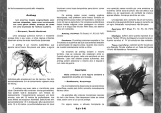 1d+14 
de flecha assassina quando são retesados. 
Ankheg 
Um enorme inseto segmentado com 
pernas delgadas, cada uma terminando 
em uma garra afiada, emerge do chão 
em uma explosão de rochas e poeira. 
— Burquem, Bardo Mentiroso 
Uma carapaça quitinosa marrom e resistente 
protege todo o seu corpo, e olhos negros cintilantes 
observam acima das suas mandíbulas poderosas. 
O ankheg é um monstro subterrâneo que 
aprecia carne fresca. Ele possui seis patas, e alguns 
indivíduos são amarelos em vez de marrons. Eles têm 
aproximadamente 3 m de comprimento e pesam cerca 
de 400 kg. 
O ankheg usa suas patas e mandíbulas para 
cavar. Geralmente não constroem túneis aproveitáveis, 
mas podem fazê-lo escavando com metade do 
deslocamento. Freqüentemente, escavam um túnel 
sinuoso, com até 12 metros de profundidade, nos 
solos férteis de bosques e fazendas. Estes túneis têm 
aproximadamente 1,5 m de largura e altura e percorrem 
entre 18 e 45 metros. As extremidades ocas do túnel 
funcionam como locais temporários para dormir, comer 
ou hibernar. 
Os ankheg podem comer matéria orgânica 
decomposta, mas preferem carne fresca. Embora um 
ankheg faminto possa matar um fazendeiro, a criatura é 
muito útil para a agricultura. Os complexos subterrâneos 
destas bestas mágicas criam passagens no subsolo 
para o ar e a água das chuvas. Além disso, seu esterco 
é rico em nutrientes. 
Ankheg (13 Pts): F3 (Ácido), H1, R3, A3, PdF3 
(Ácido). 
Combate: Os ankheg costumam espreitar a 2 ou 
3 m abaixo da superfície até que suas antenas detectem 
a aproximação de alguma presa. Quando isso ocorre, 
ele investe violentamente contra a vítima. 
Os enxames de ankheg dividem o mesmo 
território, mas as criaturas não colaboram entre si. 
Quando atacam em grupo, cada uma escolherá um alvo 
diferente. Caso não existam presas suficientes, dois 
ankheg podem selecionar o mesmo alvo e disputá-lo 
num cabo-de-guerra. 
Aparição 
Esta criatura é uma figura sinistra e 
espectral envolta em trevas. 
— Graffiacane, Arquimago 
Ela é completamente desprovida de características 
específicas, exceto pelo brilho vermelho incandescente 
de seus olhos. 
As aparições são criaturas incorpóreas nascidas 
do mal e das trevas. Elas desprezam todas as coisas 
vivas, assim como a luz que as protege. 
Em alguns casos, a silhueta horripilante de 
uma aparição parece envolta por uma armadura ou 
brandindo certos tipos de armas. Isto não afeta a sua 
defesa ou as capacidades de combate da criatura, 
apenas reflete a forma que ela tinha em vida. 
Uma aparição tem o tamanho de um ser humano, 
enquanto uma aparição tórrida é quase do tamanho de 
um ogro. Ambas são incorpóreas e não têm peso. 
Aparição (17 Pts): F3, H2, R3, A3, PdF0 
Morto-vivo 
Maldição: sofrem dano quando expostos à luz 
do dia. Perdem 1 Ponto de Vida por turno até morrerem. 
A perda se reduz a 1 PV por minuto em dias nublados. 
Toque mortífero: cada ser que for tocado por 
uma Aparição Tórrida, e falhar em um Teste de R perde 
1 Ponto de Resistência Permanente. 
 