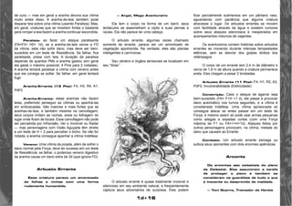 1d+16 
de cura — mas em geral a aranha devora sua vítima 
muito antes disso. A aranha-de-teia também pode 
disparar teia sobre uma vítima (usando Paralisia). Mas, 
em geral, criaturas que se mostrem fortes o bastante 
para romper a teia fazem a aranha continuar escondida. 
Paralisia: ao fazer um ataque paralisante 
(FA=F0+ H0+ 1d), se a aranha-de-teia vence a FD 
da vítima, esta não sofre dano, mas deve ser bem-sucedida 
em um teste de Resistência. Se falhar, fica 
paralisada, presa com teia. A duração da paralisia 
depende de quantos PMs a aranha gastou (em geral 
ela gasta o máximo possível; 4 Pms para 2 rodadas). 
A aranha tentará paralisar a vítima com veneno antes 
que ela consiga se soltar. Se falhar, em geral tentará 
fugir. 
Aranha-Errante (13 Pts): F4, H3, R4, A1, 
PdF0 
Aranha-Errante: estas aranhas não fazem 
teias, preferindo perseguir as vítimas ou apanhá-las 
em emboscadas. São maiores e mais fortes que as 
aranhas-de-teia, e também mestres na camuflagem: 
seus corpos imitam as rochas, areia ou folhagem do 
lugar onde ficam de tocaia. Essa camuflagem não pode 
ser percebida por Infravisão, Ver o Invisível ou Radar 
— mas personagens com Visão Aguçada têm direito 
a um teste de H + 2 para perceber o bicho. Se não for 
notada, a aranha consegue apanhar a vítima Indefesa. 
Veneno: Uma vítima da picada, além de sofrer o 
dano normal pela Força, deve ter sucesso em um teste 
de Resistência: se falhar, o poderoso veneno digestivo 
da aranha causa um dano extra de 3d (que ignora FD). 
Arbusto Errante 
Essa criatura parece um amontoado 
de folhas e vinhas com uma forma 
rudemente humanóide. 
— Argel, Mago Aventureiro 
Ela tem o corpo na forma de um barril, seus 
tentáculos se assemelham a cipós e suas pernas a 
raízes. Ela não parece ter uma cabeça. 
O arbusto errante, algumas vezes chamado 
somente de errante, parece ser um amontoado de 
vegetação apodrecida. Na verdade, eles são plantas 
inteligentes e carnívoras. 
Seu cérebro e órgãos sensoriais se localizam em 
seu “tórax”. 
O arbusto errante é quase totalmente invisível e 
silencioso em seu ambiente natural, e freqüentemente 
captura seus adversários de surpresa. Eles podem 
ficar parcialmente submersos em um pântano raso, 
aguardando com paciência que alguma criatura 
atravesse o lugar. Os arbustos errantes se movem 
com facilidade através da água e existem rumores 
sobre seus ataques silenciosos e inesperados em 
acampamentos noturnos de viajantes. 
Os aventureiros contam histórias sobre arbustos 
errantes se movendo durante intensas tempestades 
elétricas, sem se desviar dos golpes diretos dos 
relâmpagos. 
O corpo de um errante tem 2,4 m de diâmetro e 
cerca de 1,8 m de altura quando a criatura permanece 
ereta. Eles chegam a pesar 2 toneladas. 
Arbusto Errante (11 Pts): F4, H1, R2, A3, 
PdF0, Invulnerabilidade (Eletricidade) 
Constrição: Caso o ataque de agarrar seja 
bem-sucedido (FA= F+H +1 d), ele passa a provocar 
dano automático nos turnos seguintes, e a vítima é 
considerada Indefesa. Uma vítima aprisionada só 
consegue atacar se antes passar em um teste de 
Força, e mesmo assim só pode usar armas pequenas 
como adagas e espadas curtas (com uma Força 
máxima de F1 ou FA=1+H+1d). Ataques feitos por 
outros personagens provocam, na vítima, metade do 
dano que causam ao Errante. 
Combate: Um arbusto errante esmaga ou 
sufoca seus oponentes com dois enormes apêndices. 
Arconte 
Os arcontes são celestiais do plano 
de Celéstial. Eles assumiram a tarefa 
de proteger o plano e também se 
consideram os guardiões de tudo o que 
é inocente ou desprovido de maldade. 
— Toni Guerra, Treinador de Heróis 
 