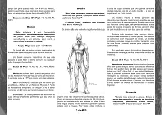 1d+25 
perigo (em geral quando estão com 4 PVs ou menos), 
podem expelir toda a sua reserva de óleo cáustico para 
fazer um ataque que causa dano dobrado (PdF6). 
Besouro-do-Óleo (24 Pts): F6, H2, R4, A4, 
PdF6 
Bodak 
Esta criatura é um humanóide 
acinzentado, completamente desprovido 
de pêlos. Com uma cabeça alongada 
semelhante a um crânio, sem nariz e 
com olhos brancos e vazios. 
— Argel, Mago que quer ser Bardo 
Os bodak são os restos mortais reanimados de 
humanóides destruídos pelo toque do mal absoluto. 
Um bodak conserva vislumbres de sua vida 
passada e pode falar o idioma comum (ou qualquer 
outra linguagem humanóide). 
Bodak (7 Pts): F1, H2, R2 , A1, PdF0, Morto-vivo, 
Maldição: sofrem dano quando expostos à luz 
do dia. Perdem 1 Ponto de Vida por turno até morrerem. 
A perda se reduz a 1 PV por minuto em dias nublados. 
Olhar mortífero: cada ser que for olhado por 
uma Borak, e falhar em um Teste de R perde 1 Ponto 
de Resistência temporário, se chegar a R0 e falhar 
morrerá e em 24 horas se transformara em um Borak. 
Combate: Os bodak preferem se aproximar de 
suas vítimas lentamente, permitindo que seu olhar as 
afete primeiro. 
Brokk 
“Sim, eles parecem mesmo estranhos, 
mas são boa gente. Comprei deles minha 
poltrona favorita!” 
—Tildorin Dido, prefeito das Colinas 
dos Bons Halflings 
Os brokks são uma estranha raça humanóide cuja 
origem ainda não é totalmente conhecida pêlos sábios. 
Vivem em pequenos bandos errantes de 3d indivíduos, 
jamais se estabelecendo em aldeias ou vilas. Falam 
uma língua própria, muito estranha (parecem apenas 
estalos com a língua). Por todos estes motivos, a 
Escola de Magia acredita que uma grande caravana 
destas criaturas veio de um outro mundo — e eles se 
espalharam por todo mundo. 
Os brokks macho e fêmea parecem tão 
diferentes que durante muito tempo acreditou-se que 
nem pertenciam à mesma espécie. Brokks masculinos 
são robustos como ogres, têm pele esverdeada e dois 
pares de braços, enquanto as fêmeas parecem elfas 
de pele muito branca e com dois pares de orelhas. 
Embora não consigam falar nenhum idioma, 
muitos brokks entendem o idioma-padrão. Eles tentam 
se comunicar com linguagem de sinais. Os brokks 
produzem curiosas peças de mobília, trançando vime 
de uma forma possível apenas para criaturas com 
quatro mãos. 
Em geral eles vivem do comércio dessas peças. 
Parecem ser uma raça pacífica, mas ainda cercada de 
mistérios. 
Brokk (14 Pts): F3, H3, R4, A0, PdF1 
Membros Extras x2: brokks machos (apenas 
eles) têm quatro braços, sendo que dois são Membros 
Extras. Eles podem fazer até três ataques por rodada, 
todos com FA=F+1d ou PdF+1, sem incluir Habilidade. 
Não é possível aumentar esse dano com nenhuma 
Vantagem ou manobra. Os braços extras também 
podem ser usados para bloquear, cada um oferecendo 
FD+1 durante aquela rodada. Criaturas com Membros 
Extras sofrem os efeitos de Monstruoso e Modelo 
Especial. 
Brownie 
“Ainda não entendi o plano. Então a 
gente se esconde e, quando os bandidos 
chegarem, atacamos? Como assim, 
atacamos?! O que isso quer dizer?” 
 
