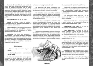 1d+55 
Os derro são acometidos de uma espécie de 
loucura racial, que normalmente se manifesta como 
ilusões de grandeza associadas com um desejo 
irresistível de atormentar outras criaturas. Os derro são 
capazes de conter seus impulsos assassinos durante 
curtos períodos de tempo para cooperar com criaturas 
de outras raças, mas será raro que este esforço 
ultrapasse algumas semanas. Naturalmente, nenhum 
derro consegue reconhecer que não está em seu juízo 
perfeito. 
Derro (5 Pts): F1 H2, R1, A0, PdF0 
Louco: um Derro já é insano por natureza e 
é imune a qualquer ou vantagem, desvantagem que 
tenha os efeitos de insanidades 
Ataque furtivo: Caso o inimigo não perceba 
seu ataque, o monstro pode gastar 2 PMs e conseguir 
um acerto crítico contra ele. Ataques com PdF devem 
ser feitos a menos de 9m do alvo. 
Combate: Os derro são sorrateiros e 
sanguinolentos. Eles gostam de preparar armadilhas 
cruéis e emboscadas letais com cuidado, e atacam 
com selvageria de seus esconderijos. Eles se deliciam 
em capturar prisioneiros que posteriormente torturarão 
até a morte, e preferem armadilhas e venenos que 
incapacitam, mas não matam. 
Destrachan 
“Pessoal hoje vamos ter lagarto no 
jantar” 
— Cortez, Guerreiro e cozinheiro nas 
horas vagas 
A criatura se arrasta sobre pernas grossas, 
terminadas em garras. Vagamente réptil, seu corpo 
grande e encurvado termina em um crânio quase 
desprovido de órgãos, dominado por grandes estruturas 
auriculares e uma larga boca desdentada. 
Os destrachan são seres subterrâneos que 
parecem uma espécie de besta bizarra e estúpida, mas 
são sádicos incrivelmente malignos e artificiosos. 
Um destrachan possui duas orelhas complexas, 
tri-particionadas, capazes de ajustar sua sensibilidade 
para diversos tipos de sons. Ele é cego, embora possa 
caçar usando a audição muito mais precisa que a visão 
da maioria das criaturas. 
A partir de sua boca tubular, o destrachan emite 
harmonia cuidadosamente focadas e produz uma 
energia sônica tão poderosa que é capaz de derrubar 
uma muralha de pedra. Sua capacidade de controlar 
os sons que emite é tão aprimorada que ele consegue 
selecionar o tipo de material que será afetado pelo 
ataque. 
Os destrachan se alimentam de morte e sofrimento. 
Eles habitam os complexos subterrâneos abandonados, 
espalhado o mal por prazer. Eles são capazes de abrir 
caminho através das rochas; dessa forma, conseguem 
se deslocar livremente no subterrâneo. Algumas vezes, 
os destrachan incapacitam suas vítimas e as arrastam 
até seus covis, aonde aprisioná-las e torturá-las. 
Nenhum ser vivo se aliaria voluntariamente a uma 
criatura tão vil, mas em certas ocasiões existem mortos-vivos 
e extra-planares malignos que acompanham 
o monstro em suas investidas para matar e destruir 
outras criaturas. 
Um destrachan possui cerca de 3 m de 
comprimento do focinho à ponta da cauda e pesa 
quase 2 toneladas. 
Os destrachan não falam , mas compreendem 
o idioma comum. Se um destrachan precisar se 
comunicar, ele o fará através de ações. 
Destrachan (12 Pts): F0 H3, R2, A2, 
PdF2(Sônico), Invulnerabilidade : Sônico. 
Som Destruidor: Ao Custo de 1PM por 
ataque, o Monstro é capaz de emitir um cone de 
energia sônica (Seu PdF), ele também pode sintonizar 
seu ataque para que ele afete alvos distintos: 
Carne: dilacerar tecidos e ossos, utilizando esse 
ataque o monstro tem FA+1 
Nervos: Com esse ataque o monstro atordoa 
os seus alvos e ao invés de matar, tem FA-2, se os 
pvs dos avos chegar a zero, estes estarão desmaiados 
mas não mortos, e acordam em 1d6 turnos. Todos os 
PVs perdidos com este ataque são recuperados em 
aproximadamente 1 hora. 
Material: Com este ataque o monstro escolhe 
entre, madeira Pedra, metal ou vidro. Todos os objetos 
feitos desse material quando forem atacados, devem 
passar em um teste de R ou serão destruídos. 
Peças mágicas (ou uma Arma/Armadura Mágica) 
têm uma chance em seis (1 em 1d) de resistir a esse 
ataque. 
 
