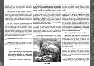 1d+61 
tormenta), fadas e seres aparentados (dríades, 
nereidas, ninfas...). Mas ele ainda pode fazer 
cópias parciais (sem as Características, poderes ou 
habilidades) de todas essas criaturas. 
Os duplos são, em geral, malignos — e loucos. 
Por trocar de mente e memórias o tempo todo, não 
conseguem formar uma personalidade própria. Estão 
sempre procurando formas melhores, jamais ficando 
satisfeitos. É comum entre eles adotar uma nova forma, 
livrar-se do alvo original (geralmente matando-o) e 
ocupar seu lugar, enganando seus amigos e familiares 
durante algum tempo. 
Em geral o duplo não consegue manter uma 
mesma forma por mais de 1d + 2 meses, antes de ficar 
inquieto (voltando a ser Insano) e começar a procurar 
outro alvo. Mas sabe-se de casos em que o duplo 
ocupou uma identidade durante anos, antes de morrer 
ou ser desmascarado. Isso costuma acontecer quando 
eles imitam alguém que possua um ou mais Códigos 
de Honra; uma vez que um Código jamais pode ser 
violado (mesmo por insanidade), talvez isso funcione 
como uma cura parcial para sua loucura. 
Doppelganger (15 Pts): F3, H4, R4, A2, 
PdF3 
Insano: todo duplo tem alguma forma grave 
(-2 ou -3 pontos) de insanidade, sendo que Fobias, 
Histérico e Homicida são as mais comuns. 
Dragões 
“Eles foram os reis do mundo durante 
milhões de anos. Podem fazê-lo de 
novo quando quiserem. E você ainda 
afirma que os humanos são a espécie 
dominante?” 
— Bluescape, estudioso dos dragões 
Os dragões verdadeiros são répteis alados 
de linhagens muito antigas. Eles são conhecidos e 
temidos por seu tamanho, capacidade de combate e 
habilidades mágicas. Os dragões mais velhos estão 
entre as criaturas mais poderosas de todo o mundo. 
As espécies de dragões verdadeiros (diferentes 
de outras criaturas com o tipo dragão) conhecidas 
subdividem-se em dois grupos: cromáticos e metálicos. 
Os dragões cromáticos são Negros, Azuis, Verdes, 
Vermelhos e Brancos; todos são malignos e 
extremamente ferozes. Entre os dragões metálicos 
estão os de Latão, Bronze, Cobre, Ouro e Prata, que 
são bondosos, geralmente nobres e em sua conduta a 
altamente respeitados pelos sábios. 
Todos os dragões verdadeiros adquirem mais 
habilidades e seus poderes aumentam conforme 
envelhecem. Seu comprimento varia entre alguns 
metros, quando nascem, até mais 30 m quando se 
tornam Adultos. O tamanho exato varia de acordo com a 
idade e a espécie. 
Embora sejam predadores temíveis, os dragões 
tornam-se necrófagos se necessário e podem digerir 
praticamente qualquer coisa quando estão muito 
famintos. O metabolismo dos dragões opera como 
uma enorme fornalha de grande eficiência, e consegue 
processar até mesmo material inorgânico. Alguns 
dragões até desenvolvem um gosto por este tipo de 
repasto. 
Apesar dos objetivos e ideais destas criaturas 
variarem muito, todos os dragões são muito 
gananciosos. Eles adoram acumular riquezas, 
coletando montanhas de moedas e a maior quantidade 
possível de gemas, jóias e toleram abandonar seus 
covis por muito tempo, e saem apenas para patrulhar 
os arredores ou caçar. Para os dragões, seu tesouro 
nunca é grande o suficiente – eles apreciam observá-lo 
e se regozijam com o brilho de suas riquezas. Os 
dragões costumam dormir dobre suas pilhas de moedas 
e moldam recessos e elevações para comportar seus 
corpos. Quando os dragões atingem a categoria de 
grandes anciões, centenas de gemas e moedas 
então incrustadas em suas peles. 
Todos os dragões falam o idioma Dracônico. 
Sociedade dos Dragões: Embora acredite-se 
que todos os dragões sejam provenientes de uma 
mesma origem há dezenas de milhares de anos, 
as variedades atuais se evitam e cooperam entre 
si apenas em circunstâncias extremas, como uma 
ameaça mútua extremamente poderosa. No entanto, 
os dragões bondosos já foram vistos com ambos os 
tipos. Os dragões de ouro algumas vezes se associam 
aos dragões de prata. 
Quando os dragões malignos de variedades 
diferentes se encontram, quase sempre lutam para 
defender seus territórios. Os dragões bondosos 
são mais tolerantes, embora também sejam muito 
territoriais, e em geral tentam resolver suas diferenças 
de modo pacífico. 
As estratégias de reprodução dos dragões 
variam de acordo com seus temperamentos e suas 
necessidades. Eles se preocupam em garantir a 
Vermelho 
 