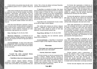 1d+81 
O bicho lembra uma grande massa de pão, tanto 
na consistência quanto na cor. É quente e macio ao 
toque. 
Pode produzir tentáculos para manipular objetos, 
ou moldar seu corpo em formas variadas; uma tenda, 
travesseiro, pára-quedas, saco-de-dormir, bola de 
praia e quaisquer outras. Não pode assumir formas 
que exijam uma consistência muito dura, como lâminas 
ou ferramentas, pois é macio demais para isso. O dano 
máximo que pode causar em qualquer forma é igual a 
FA=F+1d. Sua grande rapidez também torna fácil se 
esquivar. 
Fofos são muito afetuosos e apreciam o toque e 
calor do corpo humano. À noite costumam se esgueirar 
para a cama do dono, enfiando-se sob o cobertor (ou 
substituindo o próprio cobertor). Produzem um ruído 
característico, algo parecido com “brl-brl-brl”. 
Fofo (10 Pts): F2, H4, R2, A0, PdF0 
Membros Elásticos: os tentáculos de um 
fofo podem alcançar inimigos distantes, que estejam a 
até 10m, sem precisar de Poder de Fogo para atacar a 
essa distância. 
Invulnerabilidade: um fogo nunca sofre dano 
por esmagamento, corte ou perfuração, pois consegue 
até se dividir em várias criaturas menores para depois 
unir-se novamente. 
Fogo Fátuo 
“Luzes? Na velha mansão? Muito 
bem, vamos dar uma olhada...” 
— Todd Mark, Guerreiro (desaparecido) 
Estas criaturas mágicas habitam pântanos, 
cemitérios e outros lugares assombrados — sendo 
muitas vezes confundidas com as próprias almas dos 
mortos. Têm a forma de esferas luminosas flutuantes, 
que andam em bandos de 1d+2. 
O fogo-fátuo se alimenta de almas. Seu toque 
ignora a Armadura do alvo e ataca com FA=H+1d. Quando 
a vítima chega a 0 Pontos de Vida, no turno seguinte 
o bando suga a energia de sua alma completamente, 
impedindo que seja ressuscitada de qualquer forma 
(apenas um Desejo poderá fazê-lo). Fogos-fátuos são 
inofensivos contra Construtos, mas PODEM sugar a 
alma de Mortos-Vivos. 
Fogos-fátuos são completamente imunes a todas 
as formas de magia e armas mágicas. 
Eles sofrem dano apenas por armas e ataques 
normais — bastando um ponto de dano para destruir 
cada criatura. Caso metade do bando ou mais seja 
destruído, os sobreviventes tentarão fugir. 
Fogo-Fátuo (8 Pts): F0, H4, R0, A0, PdF0 
Voô: o fogo-fátuo não voa realmente, apenas 
flutua como se tivesse H1. 
Invulnerabilidade: o fogo-fátuo é invulnerável 
a todas as magias, armas mágicas e ataques mágicos. 
Formian 
“Formigas com instinto expansionista? 
Agora sim eu já vi de tudo!” 
— Cortez, Guerreiro viajado. 
Os formian lembram um tipo de cruzamento entre 
formiga e centauro. Habitam algumas cavernas de 
Dohesimm, mas são encontrados em maior abundância 
em alguns Reinos dos Deuses (principalmente Ordine 
e outros onde a ordem impera). Seu único objetivo é 
expandir suas colônicas a todos os lugares, até que 
suas ordens não sejam questionadas. 
Os formian são organizados e dividem-se em 
castas, cada um com suas características, habilidades 
e função na sociedade. Cada indivíduo já nasce em 
seus respectivos “cargos”, não há qualquer forma de 
“progressão” - um formian operário jamais se tornará 
soldado ou sargento. Eles são também totalmente 
obedientes aos indivíduos de maior patente. 
Formians são agressivos; durante sua expansão 
eles lutam com todo tipo de criatura que encontram 
no caminho, tentando subjuga-las à sua vontade e 
escraviza-las. Quando sua rainha ou suas cidades-colônias 
estão ameaçadas, eles lutam até a morte. 
Cada casta desempenha um importante papel 
dentro da sociedade dos formian (veja mais adiante 
as castas e a função de cada uma). Eles possuem 
uma curiosa mente coletiva, o que os torna capazes 
de compartilhar sensações, emoções e informações 
de forma imediata. Com exceção dos marechais e da 
rainha, eles são totalmente incapazes de se comunicar 
verbalmente, mas podem usar movimentos do corpo 
para transmitir informações entre si. 
Cada colônia formian é constituída de uma 
única rainha (responsável pela reprodução de toda a 
colônia, já que os membros das demais castas não se 
reproduzem) e membros de todas as demais castas. 
Quanto mais alta a casta, menos numerosa ela é (em 
termos de indivíduos pertencentes àquela casta). As 
colônias também são independentes - uma colônia 
formian que encontre outra colônia formian durante sua 
expansão a tratará como um inimigo qualquer. 
Embora pareçam cruéis e gananciosos, os 
formian são ordeiros e leais. A ordem é um conceito 
absoluto para eles, e o caos é algo simplesmente 
incompreensível. Há quem diga, inclusive, que os 
formian são vijantes planares muito distantes, e 
durante sua expansão acabaram chegando no mundo. 
A verdade sobre os fatos talvez nunca seja conhecida. 
Formian não são religiosos; eles nunca adoram 
 