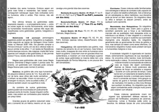 1d+88 
e bestiais dos seres humanos. Embora sejam em 
geral mais fortes e resistentes, tais bestas nunca 
conseguiram sobrepujar raças mais civilizadas como 
os humanos, elfos e anões. Pelo menos, não até 
agora... 
Nos últimos tempos os goblinóides estão 
inspirando respeito — e principalmente temor — entre 
as outras raças do mundo.Tecnicamente, entre todos 
os humanóides monstruosos, apenas três raças são 
classificadas como goblinóides: goblins, hobgoblins e 
bugbears. 
Goblinóide (-2 pontos): personagens 
jogadores podem ser goblins, hobgoblins ou bugbears, 
todos seguindo as regras da Vantagem Única Goblin 
vistas no Manual 3D&T Alfa. Ela permite comprar a 
Perícia Crime por 1 ponto, em vez de 2; oferece visão no 
escuro similar à dos elfos; +1 em testes de Resistência 
contra doenças comuns, não-mágicas; impõe Má Fama 
(apenas com relação a não-goblinóides); e não permite 
possuir Focus, exceto através de Clericato. 
Magias para goblinóides são mais caras Magia 
Branca, Elemental e Negra custam 3 pontos cada. No 
entanto, um goblinóide com Clericato pode comprar 
Magia Branca pelo custo normal (2 pontos). 
Goblins: os goblins são uma raça humanóide 
de pequena estatura (cerca de 1m). Sua pele tem 
cor de terra, seus olhos são muito vermelhos 
e brilham na escuridão. Vivem no sub-solo e 
enxergam no escuro, como os anões e elfos, 
embora também atuem na superfície à noite. 
Ao contrário de outros goblinóides, 
goblins podem ser encontrados em praticamente 
qualquer ponto do mundo. Quase ninguém confia 
neles, mas podem ser contratados para trabalhar 
por preço baixo. 
Grandes grupos de goblins costumam estar 
sob o comando de um liderou mesmo um rei, que 
cavalga uma grande loba-das-cavernas. 
Soldado/Arqueiro Goblin (4 Pts): F1 ou 0*, 
H1, R1, A1, PdF1 ou 0* (*Tem F1 ou PdF1, somente 
um dos dois) 
Subchefe/Chefe Goblin (7 Pts): F3 ou 
0**, H2, R1, A1, PdF3 ou 0** (**Tem F3 ou PdF3, 
somente um dos dois) 
Xamã Goblin (6 Pts): F0, H1, R1, A0, PdF0, 
Clericato, Magia Branca. 
Cavaleiro Goblin (7 Pts): F0, H2, R1, A0, 
PdF0, Animais (apenas lobos), Aliado/Parceiro (loba-das- 
cavernas). 
Hobgoblins: são aparentados aos goblins, mas 
maiores (do tamanho de um ser humano), mais fortes e 
mais cruéis, incapazes de viver entre os humanos como 
fazem os goblins. Costumam viver em grandes tribos nos 
subterrâneos, e mostram um nível tecnológico superior 
às outras raças goblinóides (a maioria deles tem uma 
Especialização da Perícia Máquinas, e uns poucos têm 
até Genialidade). 
Combate: Essas criaturas estão familiarizadas 
com estratégias e táticas de combate e são capazes de 
seguir um plano de batalha sofisticado. Sob a liderança 
de um estrategista ou tático habilidoso, sua disciplina 
pode se tornar um fator decisivo. Os robgoblins odeia 
os elfos e sempre os atacam primeiro, antes de 
qualquer outro oponente. 
Sociedade dos Robgoblins: Os robgoblins 
são criaturas militares: eles vivem para a guerra e 
acreditam piamente que a força e as habilidades 
marciais são as qualidades mais desejadas entre os 
indivíduos e os lideres. O líder robgoblin é o indivíduo 
maior e mais forte do grupo e sustenta sua autoridade 
impingindo uma disciplina rígida. Os robgoblins 
geralmente são os governantes de tribos de goblins e 
orcs, mas sempre os tratam como seres inferiores, Os 
mercenários robgoblins muitas vezes prestam serviços 
a humanóides malignos e ricos. 
A sociedade robgoblin é organizada em bandos 
tribais, extremamente orgulhosos de sua reputação e 
status. Os encontros entre bandos rivais terminarão 
numa exploração e status. Os encontros entre bandos 
rivais terminarão numa explosão de violência 
caso as tropas não sejam controladas. 
Apenas os líderes muito poderosos são 
capazes de forçar os soldados a cooperar 
– durante um curto período de tempo. Cada 
bando tem um estandarte de batalha distinto, 
carregando durante o combate para inspirar, 
reunir e comandar as tropas. Uma gangue ou 
bando de guerra é formado essencialmente 
de machados. Em bando ou tribo inclui fêmeas 
que auxiliam na defesa. Os robgoblins que não 
sejam combatentes serão crianças muito jovens 
para lutarem com eficácia. 
Essas criaturas geralmente vivem em 
lugares que apresentem defesas naturais ou 
possam ser fortificados: complexos de cavernas, 
masmorras, ruínas e florestas estão entre os 
favoritos. As defesas típicas de uma comunidade 
Goblins 
 