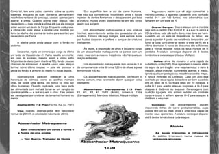 1d+9 
Como tal, tem seis patas; caminha sobre as quatro 
traseiras, enquanto as duas dianteiras permanecem 
recolhidas na base do pescoço, usadas apenas para 
agarrar a presa. Quando acerta esse ataque, não 
causa dano — mas prende a vítima até que ela consiga 
soltar-se com um teste de Força. Enquanto está presa, 
a vítima não pode atacar e recebe uma mordida por 
turno (a abelha não precisa de testes para acertar) que 
causa dano por Força. 
A abelha pode ainda atacar com o ferrão no 
abdome. 
Se acertar, injeta um veneno que exige da vítima 
um teste de Resistência +1. Falha resulta em morte; 
em caso de sucesso, mesmo assim a vítima sofre 
3d pontos de dano (sem direito a FD), tendo poucas 
chances de sobreviver. A abelha usará esse ataque 
terrível como último recurso — pois ele provoca a 
perda do ferrão, e a morte do inseto 1d horas depois. 
Abelhas-grifos parecem obedecer a uma 
hierarquia de colmeia, como as abelhas normais 
(mas, se existe uma rainha, ela nunca foi vista por 
olhos humanos). Quando capturada, uma larva pode 
ser alimentada com mel até tornar-se um zangão ou 
operária adulta — e leal a quem o criou. Elas podem 
ser cavalgadas por criaturas de tamanho humano ou 
menor. 
Abelha-Grifo (12 Pts): F3, H2, R2, A3, PdF0 
Vôo: voando, abelhas-grifos têm velocidade 
normal de 20km/h e velocidade máxima de 20m/s. 
Abocanhador Matraqueante 
Esta criatura tem um corpo a forma e 
a fluidez de uma ameba. 
— Toni Guerra, Treinador de Heróis 
Sua superfície tem a cor da carne humana, 
mas não sua consistência. Incontáveis olhos e bocas 
repletas de dentes formam-se e desaparecem por toda 
a criatura, muitas vezes dissolvendo-se em seu corpo 
assim que surgem. 
Um abocanhador matraqueante é uma criatura 
horrível, aparentemente saída dos pesadelos de um 
lunático. Embora não seja maligna, está sempre ávida 
por fluidos corporais e prefere o sangue de criaturas 
inteligentes. 
Às vezes, a disposição de olhos e bocas no corpo 
de um abocanhador matraqueante se parece com um 
rosto, mas com a mesma freqüência não há qualquer 
reação entre eles. 
Um abocanhador matraqueante tem cerca de 9 m 
de comprimento e entre 90 cm e 1,20 m de altura, e pesa 
em torno de 100 kg. 
Os abocanhadores matraqueantes conhecem o 
idioma comum, mas raramente dizem qualquer coisa 
inteligente. 
Abocanhador Matraqueante (13 Pts): 
F1, H1, R3, A1, PdF1 (Ácido), Armadura Extra 
(Esmagamento), Membros elásticos, Ataque múltiplo 
Tagarelar: assim que vê algo comestível o 
monstro começa a tagarelar, causando uma confusão 
mental (H-1 por 1d6 turnos) nos adversários que 
falharem em um teste de R. 
Drenar Sangue: Caso o ataque com a mordida 
seja bem-sucedido (FA= F+H +1 d), e a sua FA vence a 
FD da vítima, esta não sofre dano, mas deve ser bem-sucedida 
em um teste de Resistência. Se falhar, ele 
passa a perder 1 ponto de resistência temporário por 
turno (a cada turno deve-se repetir o teste de R) até a 
vítima desmaiar, 8 horas de descanso são suficientes 
para a vítima recobrar todos os seus Pontos de R 
perdidos. A criatura consegue disparar até 6 destes 
tentáculos a cada ataque (Ataque Multiplo). 
Saliva: arma do monstro é uma rajada de 
substância ácida(PdF). Sua rajada tem o mesmo efeito 
do sopro de um dragão: uma esquiva reduz o dano à 
metade, afeta criaturas vulneráveis apenas a magia, 
ignora qualquer proteção ou resistência contra magia, 
e ignora Reflexão ou Deflexão. Caso um alvo seja 
acertedo por essa rajada ácida deve ser bem sucedido 
em um teste de R, ou ficará cego por 1d rodadas, e 
sofre H-1 para acertar ataques corporais, e H–3 para 
ataques à distância ou esquivar. Personagens com 
Audição Aguçada não sofrem redutor em combate 
corpo-a-corpo, e sofrem apenas H–2 para ataques à 
distância e esquivas. 
Combate: Os abocanhadores atacam 
disparando linhas de carne protoplasmática, cujas 
pontas têm um ou mais olhos e uma boca capaz de 
morder seus oponentes. A criatura consegue disparar 
até 6 destes tentáculos a cada ataque. 
Abolete 
As águas tranqüilas e refrescante 
de súbito irrompem numa massa de 
tentáculos sinuosos. 
Abocanhador Matraqueante 
 