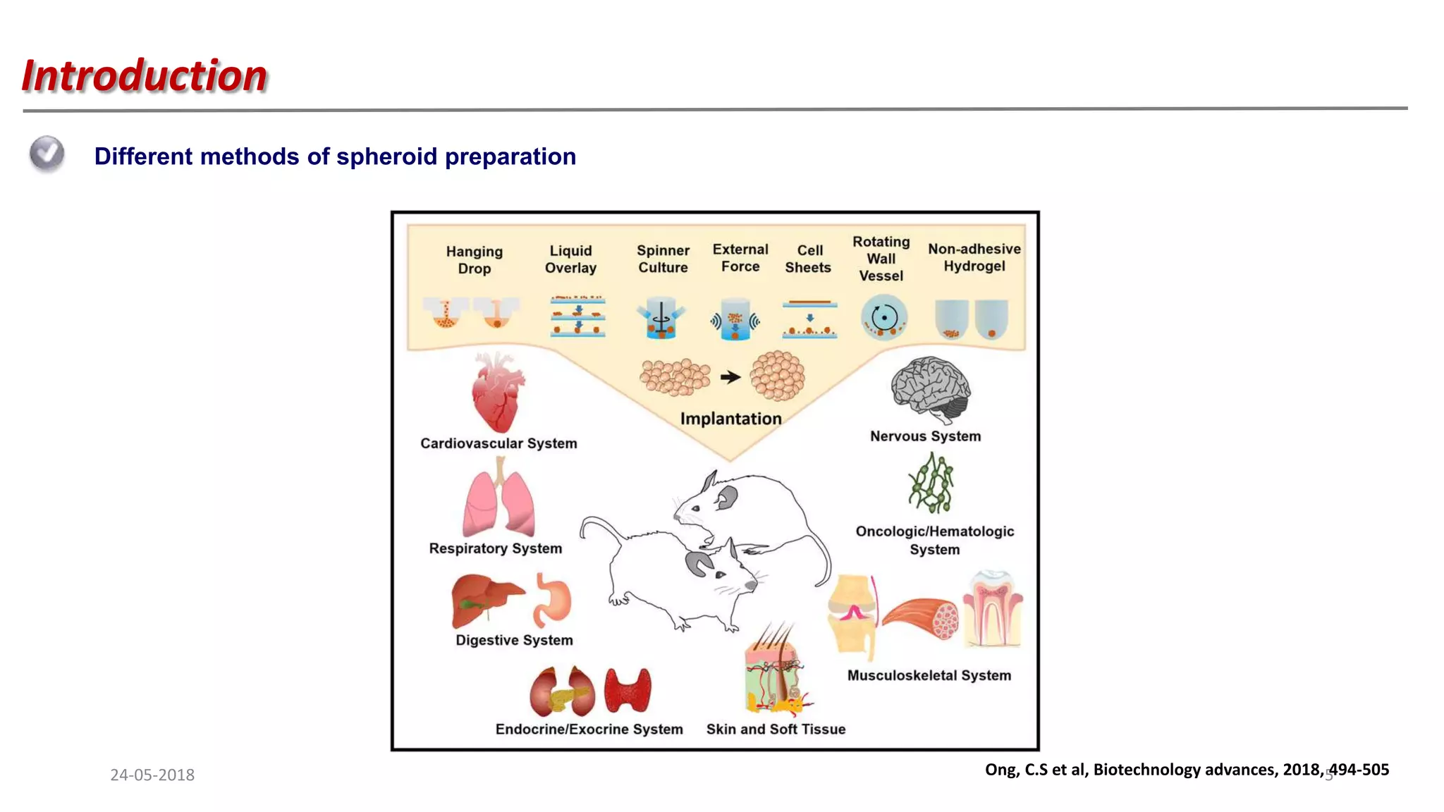 3D tumor spheroid models for in vitro therapeutic screening: a ...