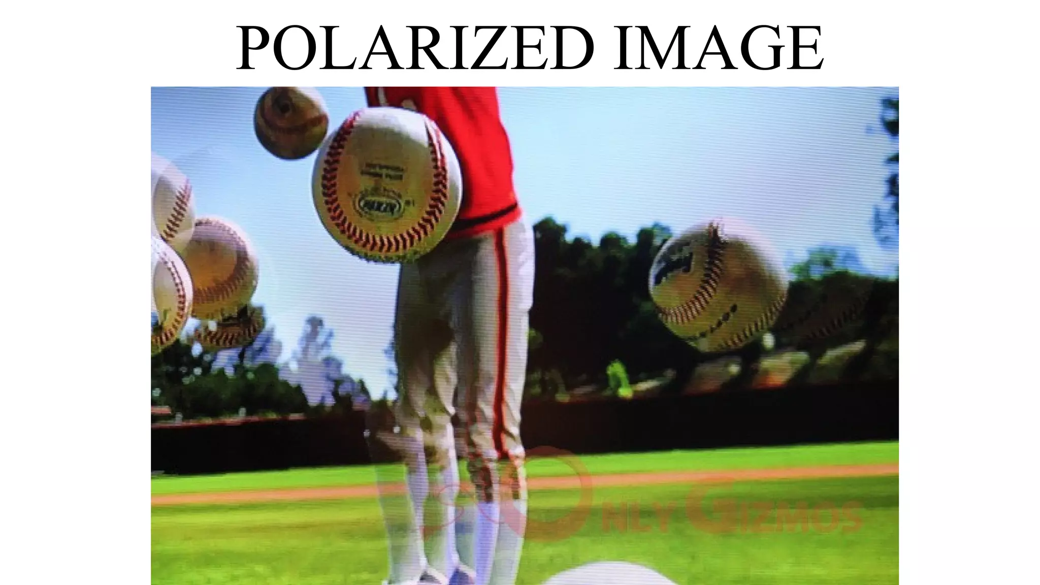 POLARIZED IMAGE