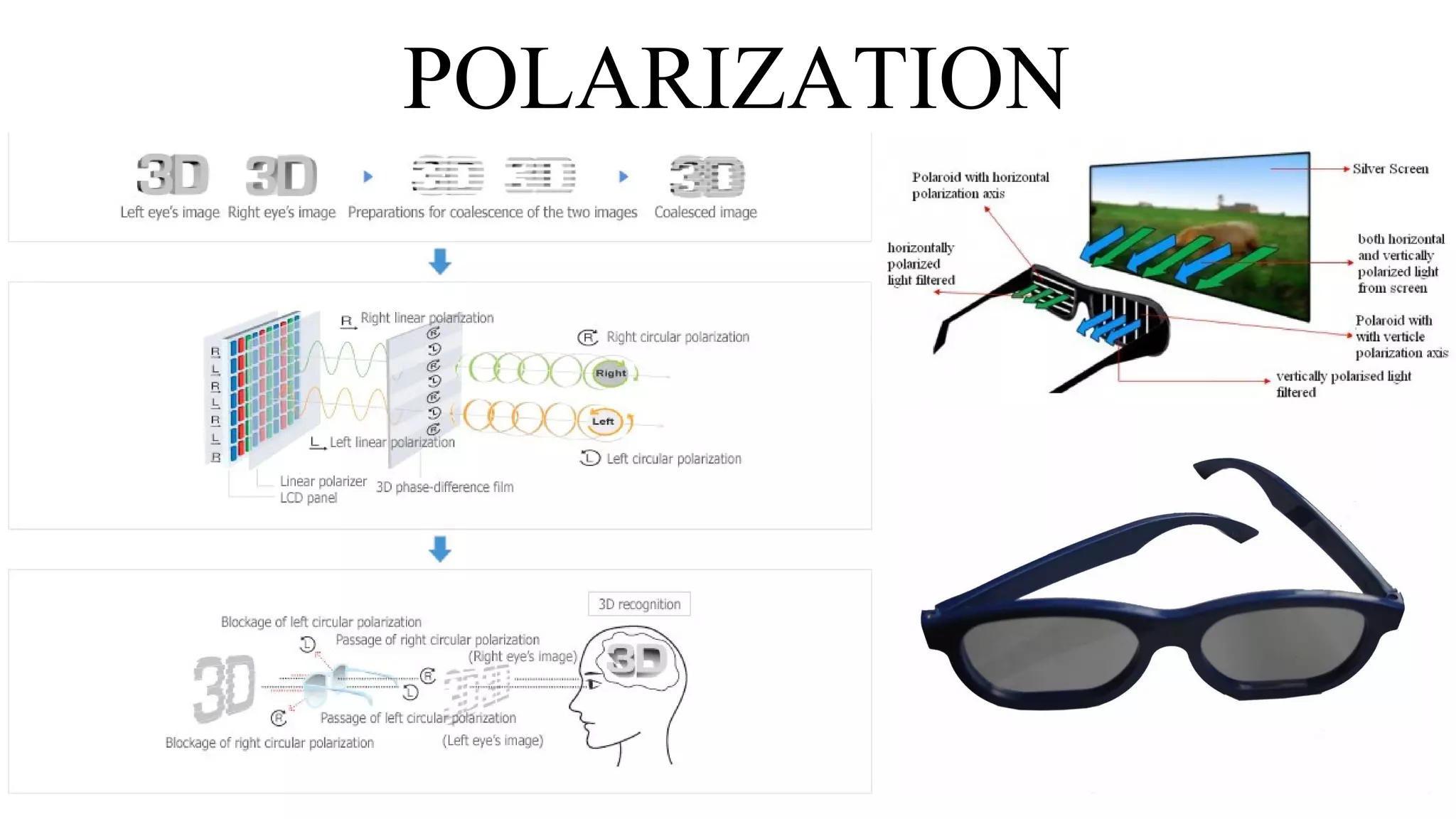 POLARIZATION