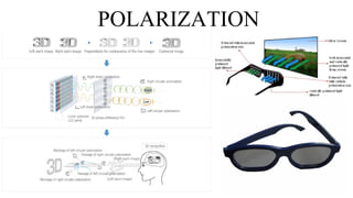 POLARIZATION