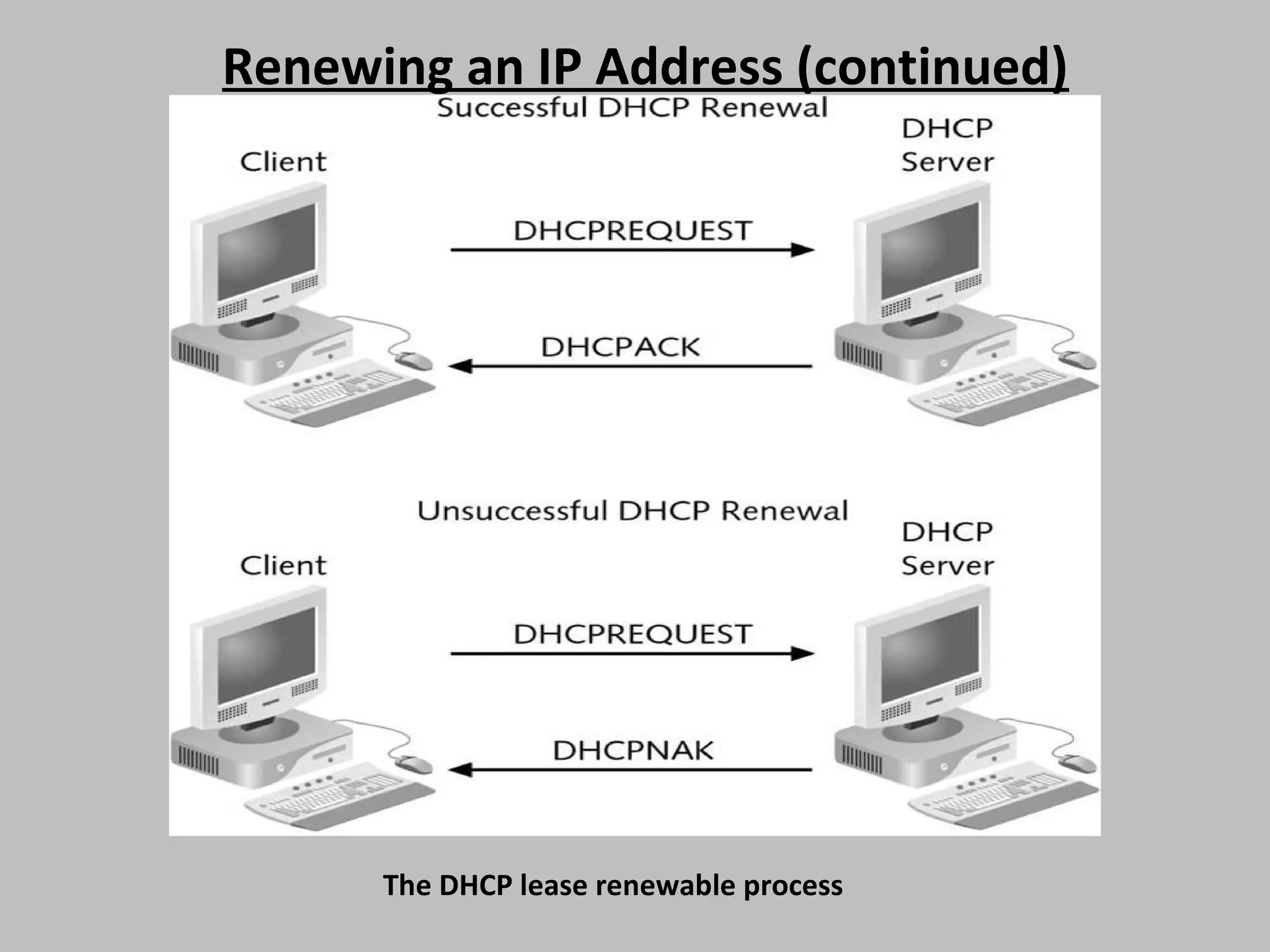 Renewing an IP Address (continued) The DHCP lease renewable process 