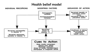 Health belief model 
 