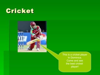 Cricket This is a cricket player In Dominica. Come and see the best cricket player!