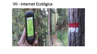 VII - Internet Ecológica
 